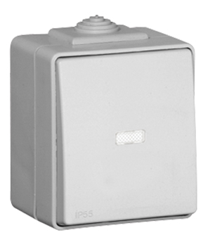 Poussoir à Bascule Lumineux - 12V