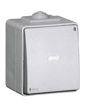 Interrupteur Bipolaire Témoin